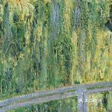 莫奈大师的画作🖼️总是充满艺术美感