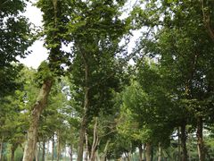 -汉长安城未央宫国家考古遗址公园