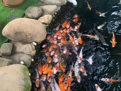 -北黄海温泉度假村