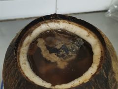 原只椰子炖竹丝鸡-達揚原味燉品(文明路店)