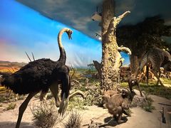 -国家自然博物馆