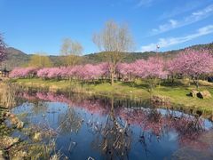 -石塘人家