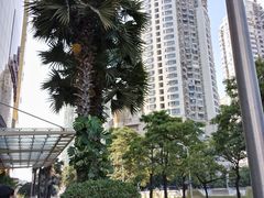 -厦门喜来登酒店