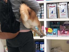 -美联众合动物医院·24h京西诊疗中心