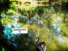 -济南野生动物世界