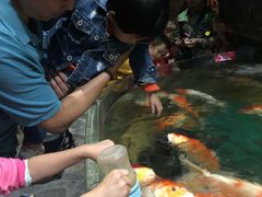 -多彩贵州城极地海洋世界