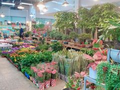 -双季花艺园艺市场(浦东店)