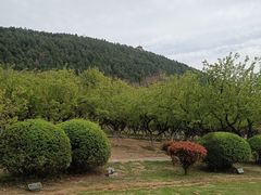 -云龙湖旅游景区