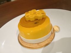 -北京望京凯悦酒店The Lounge大堂酒廊