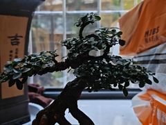 -昆明动物园