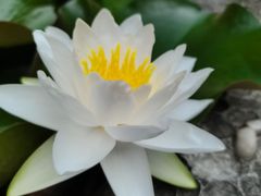 -都江堰普照寺