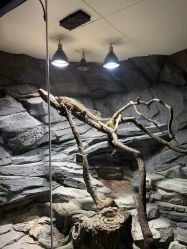 -Zoolung Zoolung动物主题公园(海信广场店)