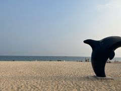 -玫瑰海岸文化旅游度假区