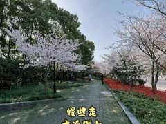 -黄兴公园