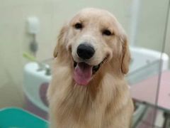 -佳雯宠物医院(四明中路分院)