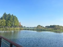 -贡湖湾湿地公园