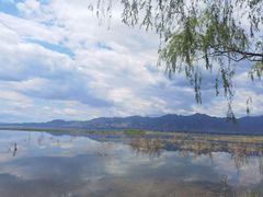 -野鸭湖国家湿地公园