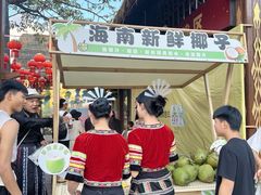 -三亚红色娘子军演艺公园景区