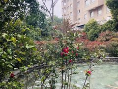 -杭州第一世界大酒店·云曼温泉