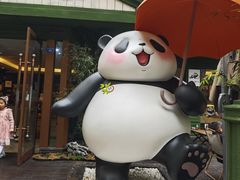 -轩客会(熊猫书店)