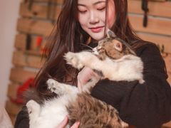 -五月木作·DIY木作文创体验店(北京路店)