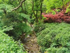 -北仑森林植物园