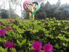 -广州雕塑公园