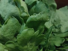 -南门四季铜锅涮肉(左家庄店)