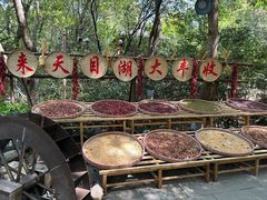 -天目湖山水园