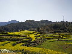 -大姆山草场