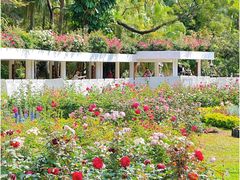 -人民公园(罗湖区)