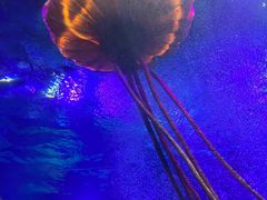 -沈阳海洋探索中心