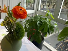 -蝶舍·MAISON PAPILLON