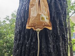 -杭州西湖银泰百货