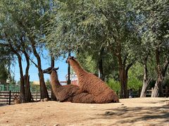 -鄂尔多斯野生动物园
