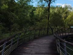 -西湖风景区-江洋畈生态公园