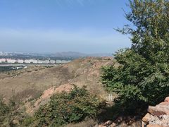 -红山国家森林公园