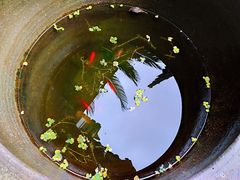 -庆安会馆