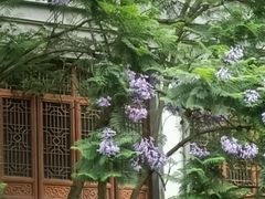 -龙潭水乡