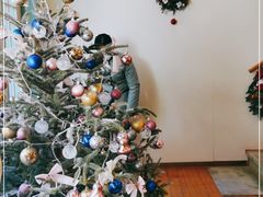 -蝶舍·MAISON PAPILLON