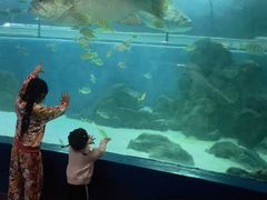 -苏州海洋馆
