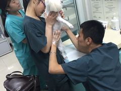 -康乐宝动物医院