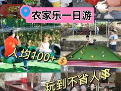 -松山湖南湖湾露营营地