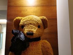 -济州岛泰迪熊博物馆