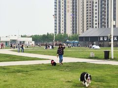 -栖露营camping·天幕烧烤·团建拓展·采摘营地