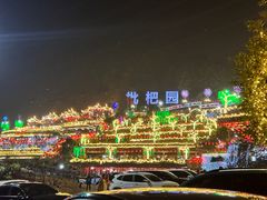 -枇杷园食为鲜火锅(南山店)