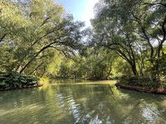 -大湾区中央湿地公园