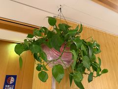 -阿源鱼捞斑鱼火锅·海鲜粥(山景尚宅店)