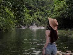 -象头山国家级自然保护区