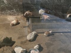 -青青世界